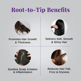 Ultimate Hair Growth Combo (Rosemary & Rice Water Spray - 200 ml | Rosemary Oil - 100 ml)