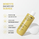 Oil Control Shampoo with Salicylic Acid, Hyaluronic Acid & Tea Tree for Oily Scalp - 236 ml | Pack of 3