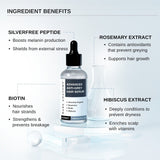 Advanced Anti-Grey Hair Serum with Silverfree Peptide, Rosemary & Biotin - 50 ml | Pack of 3