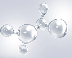 Amino Acids