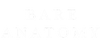 Brand 1